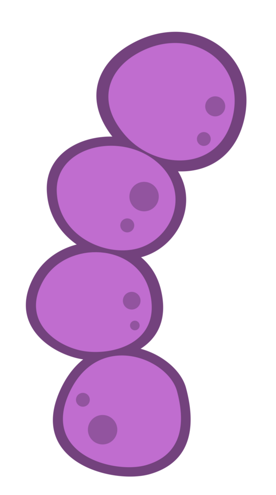 bacteria vector