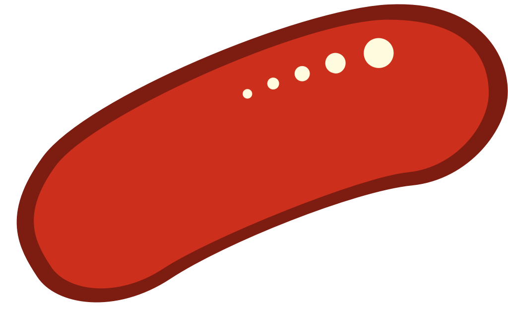 bacteria vector