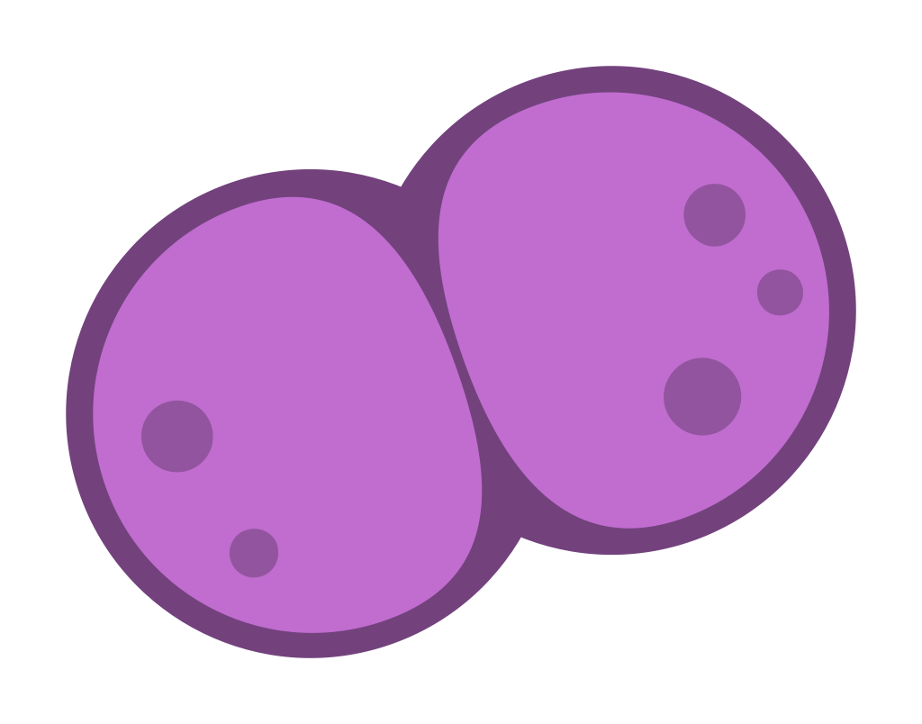 bacteria vector
