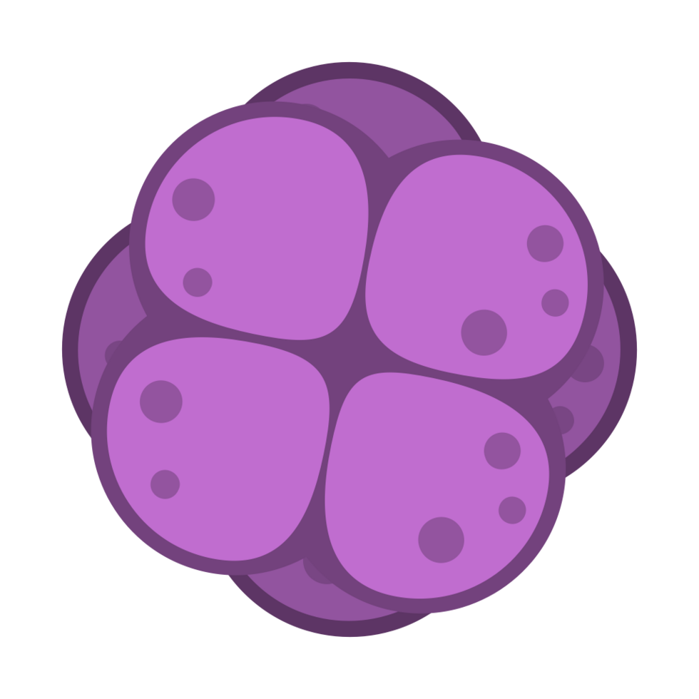 bacteria vector