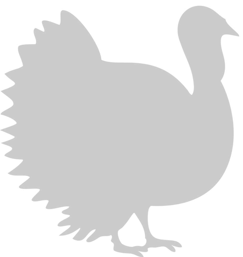 Turkey vector