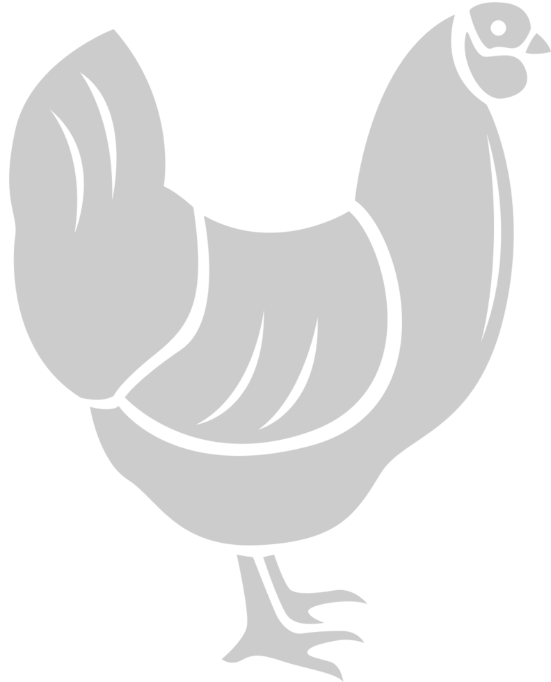 Turkey vector