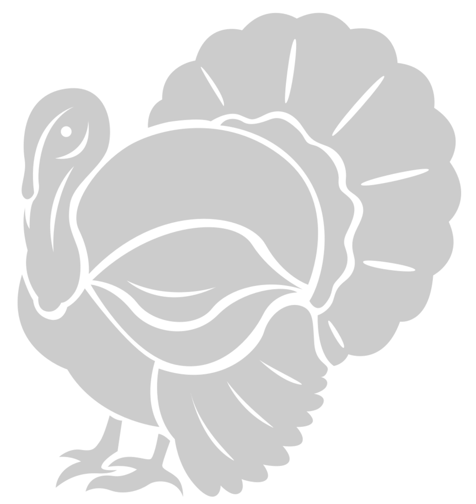 Turkey vector