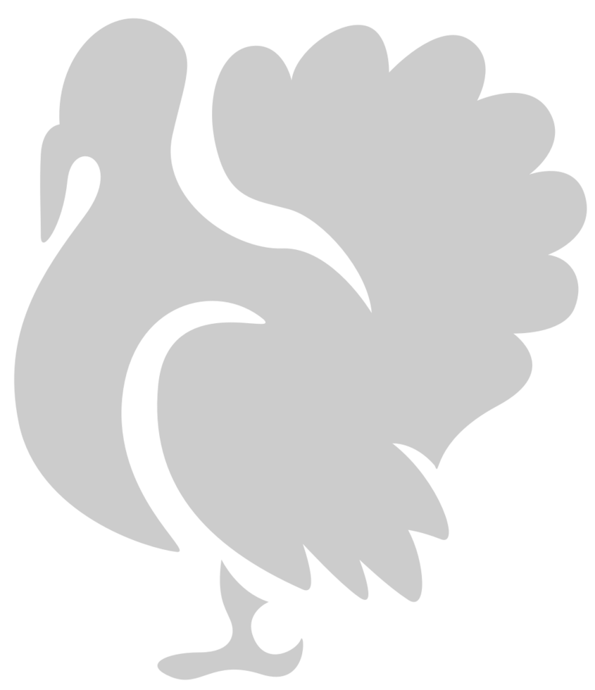 Turkey vector