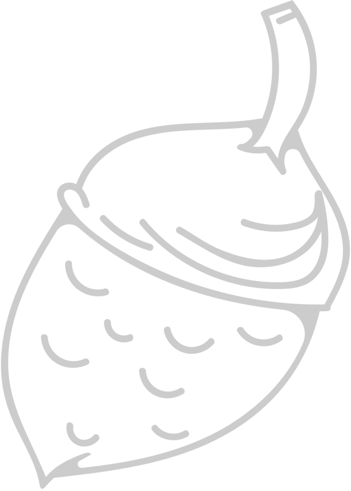 Acorn vector