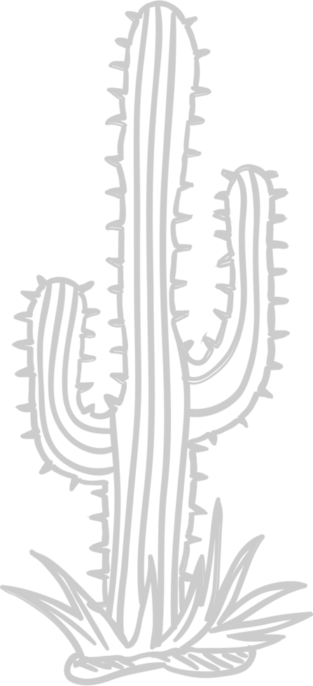 cactus vector