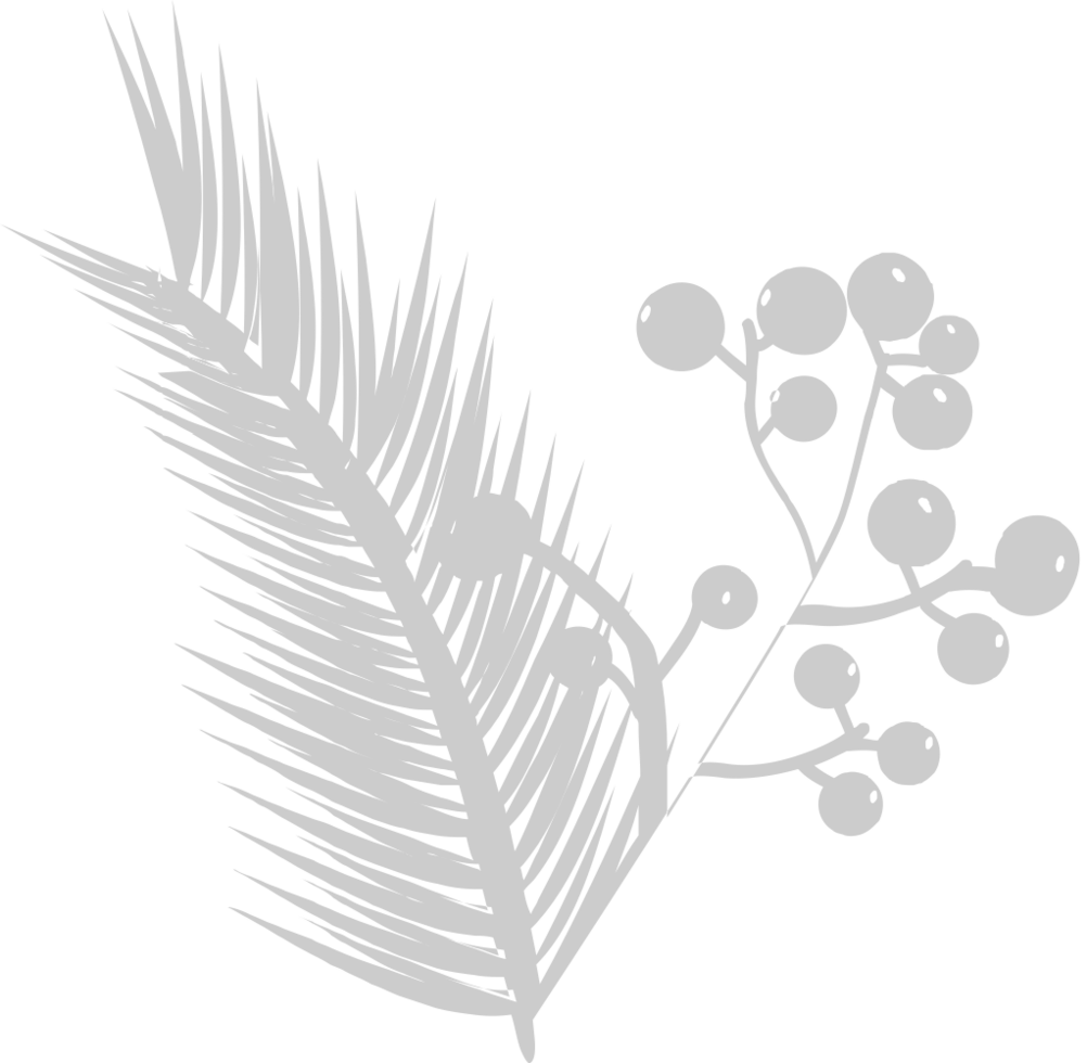 Palm vector