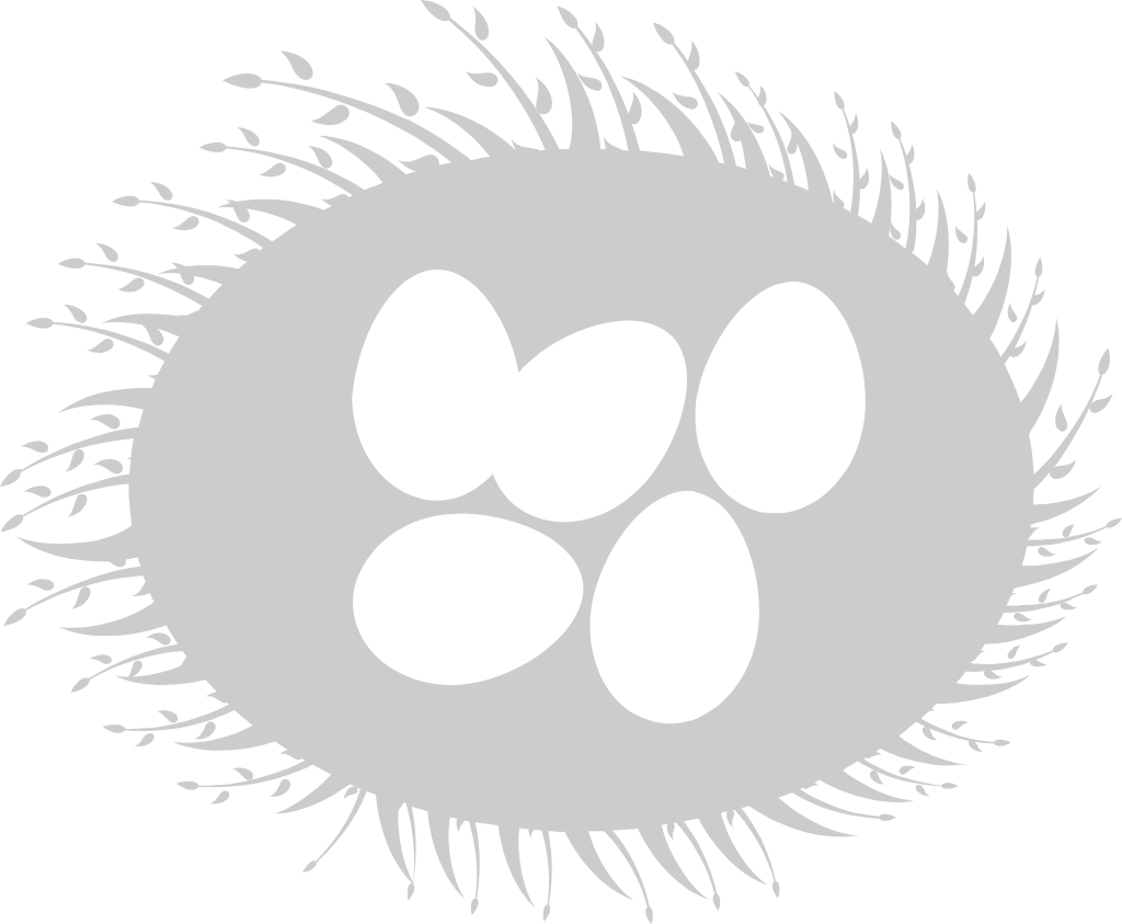 Eggs vector