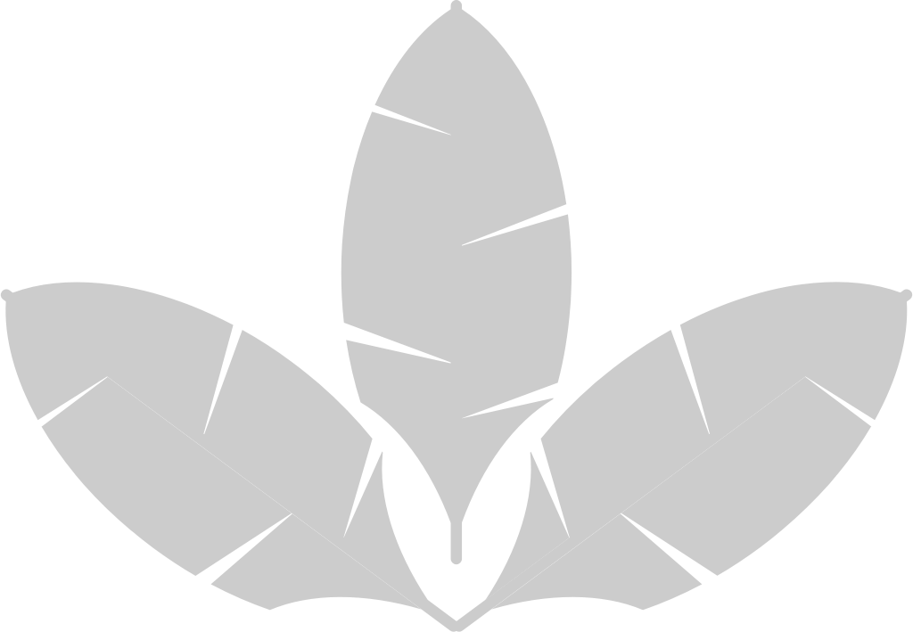 Palms vector