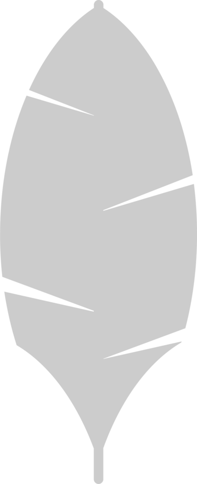 Palm vector