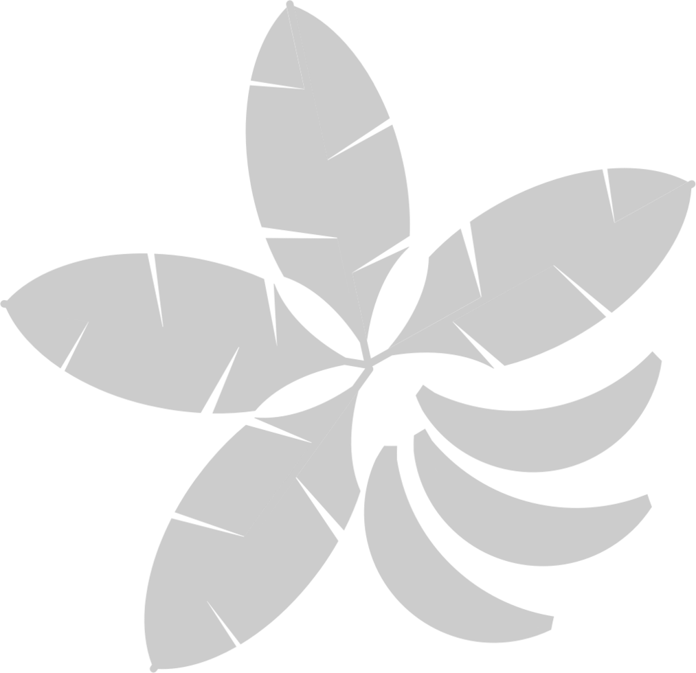 Palms vector