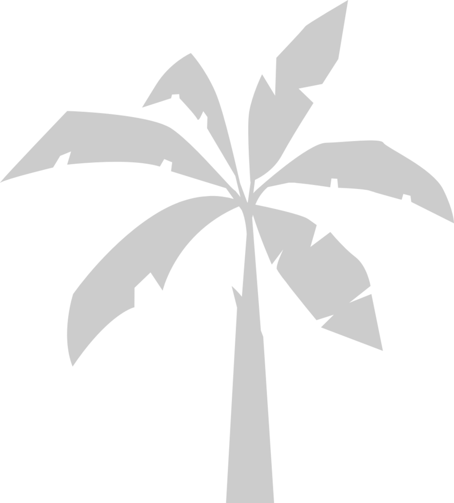 Palm Tree 36655977 Vector Art at Vecteezy