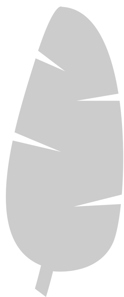 Palm vector