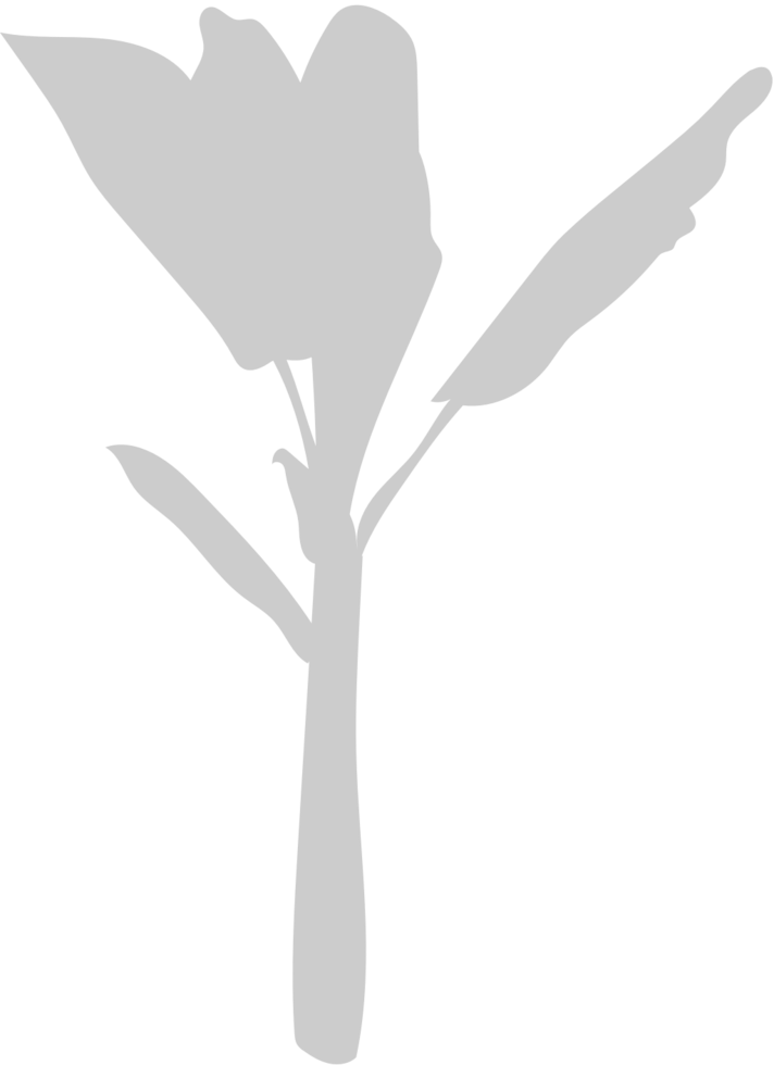 Palm Tree vector