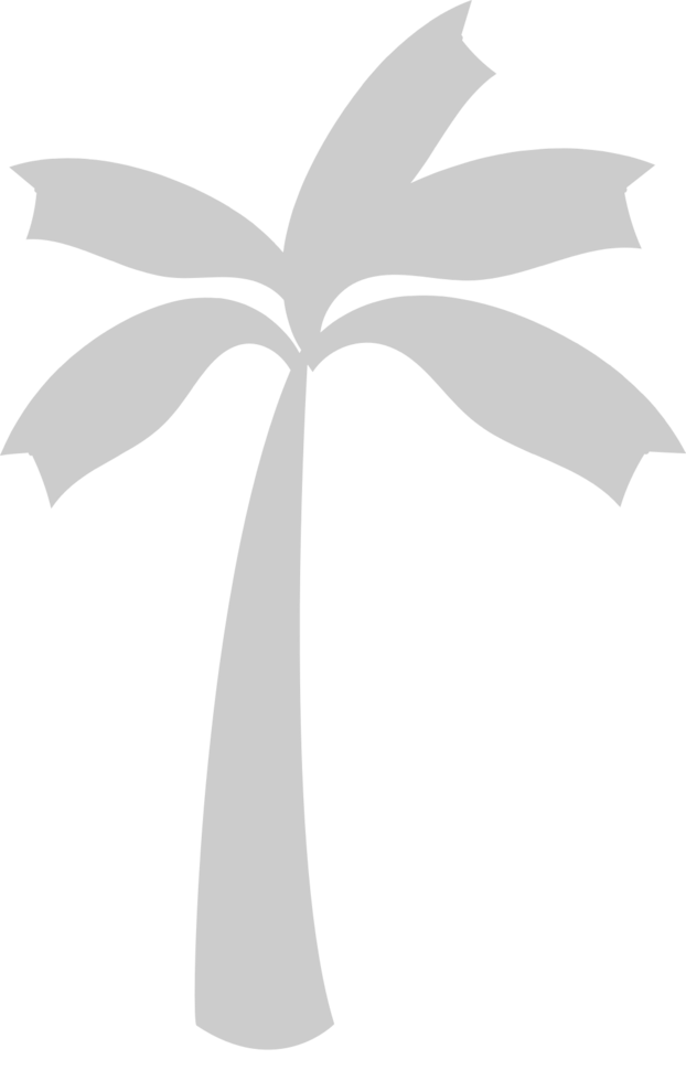 Palm Tree vector