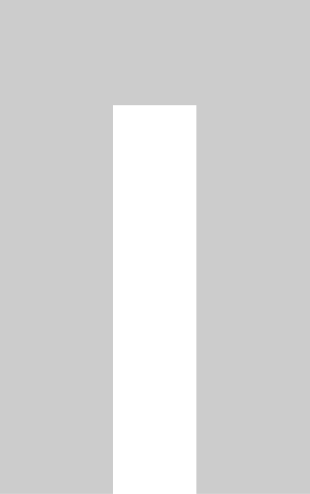 Pi vector