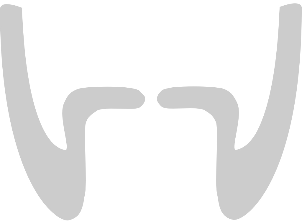 Mustache  vector
