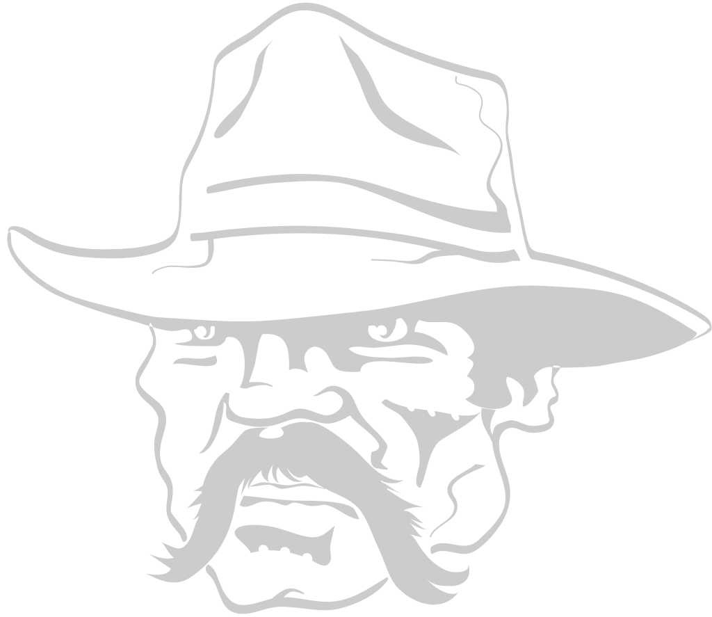 Cowboy vector