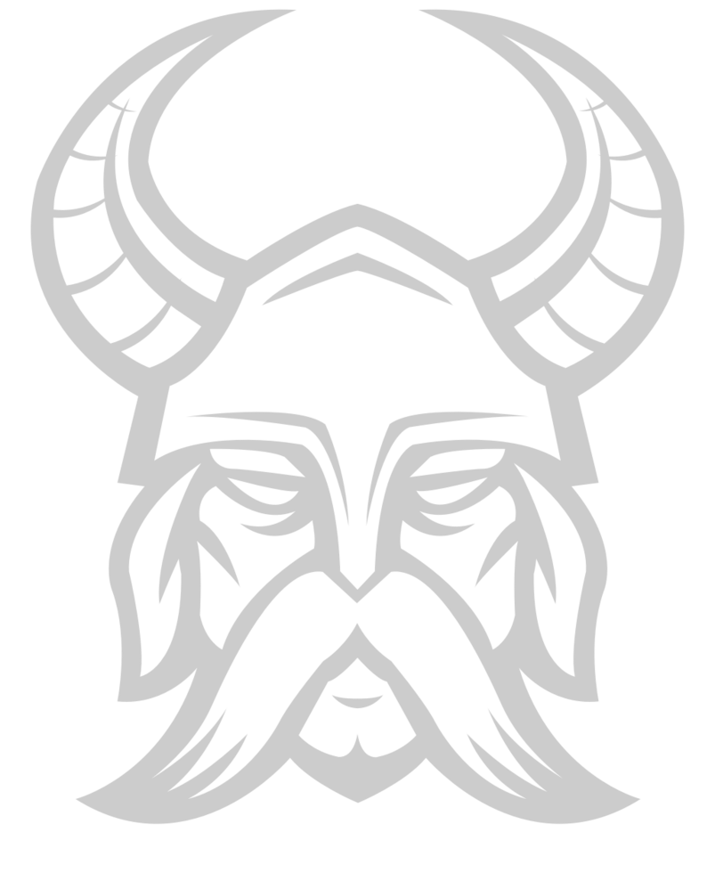 Viking vector