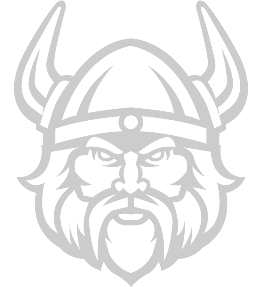 Viking vector