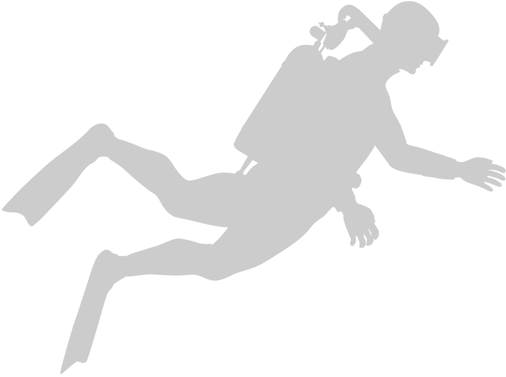 Diver vector
