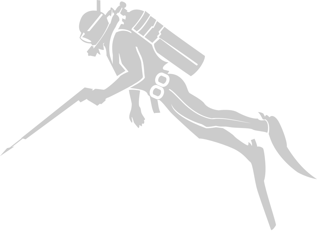 Diver vector