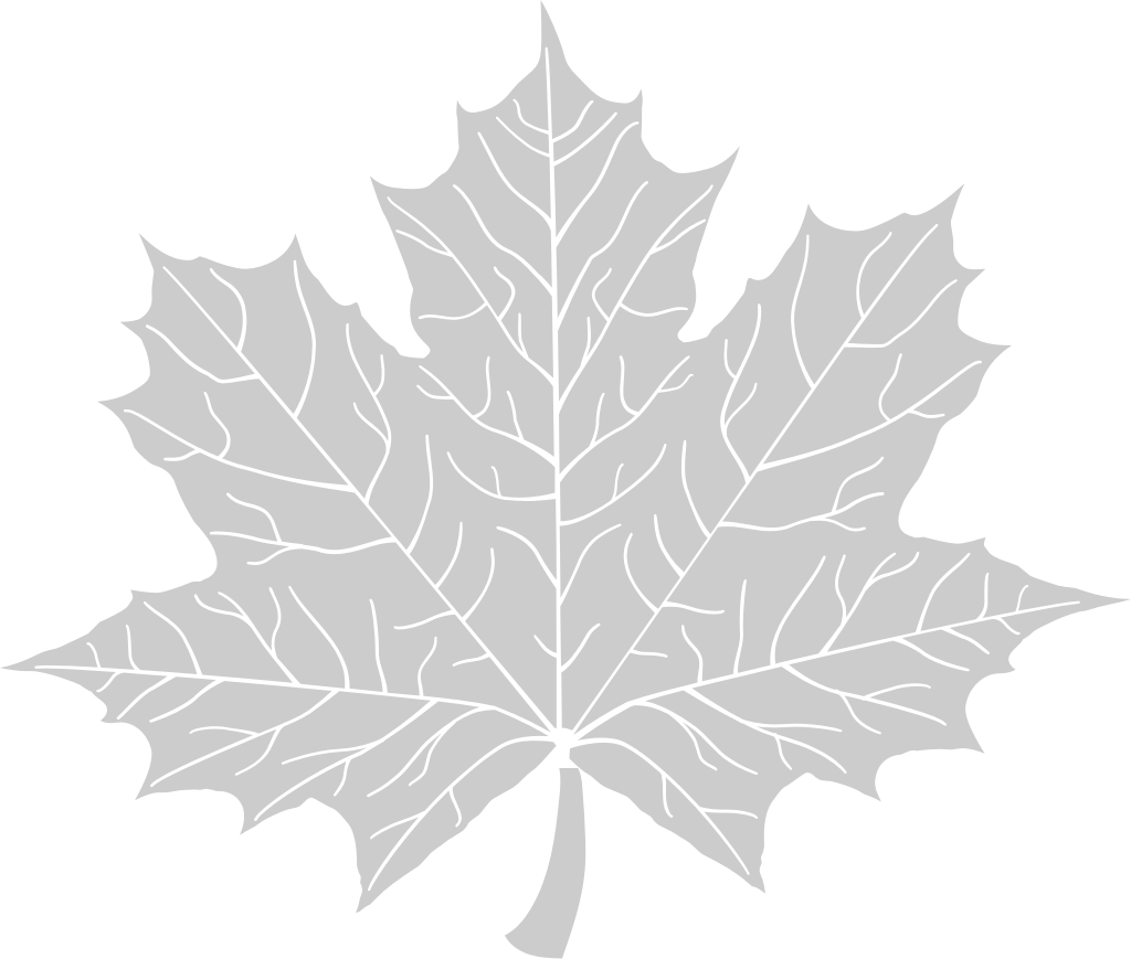 Maple Leaf vector