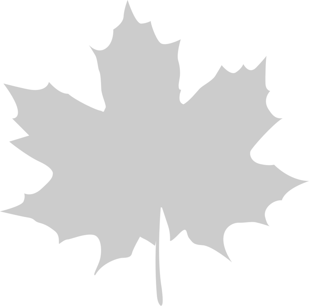 Maple Leaf vector