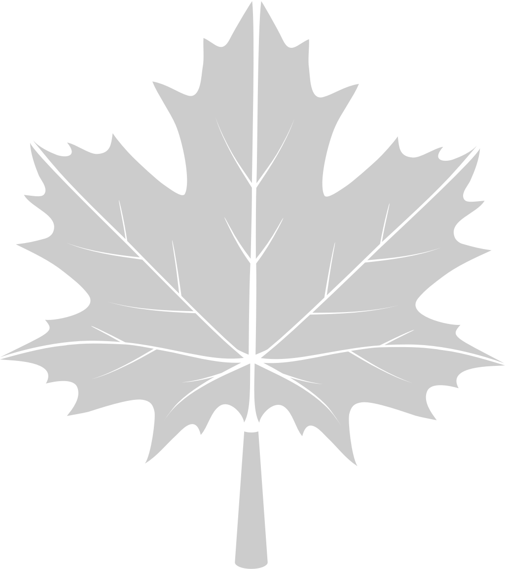 Maple Leaf 36656957 Vector Art at Vecteezy
