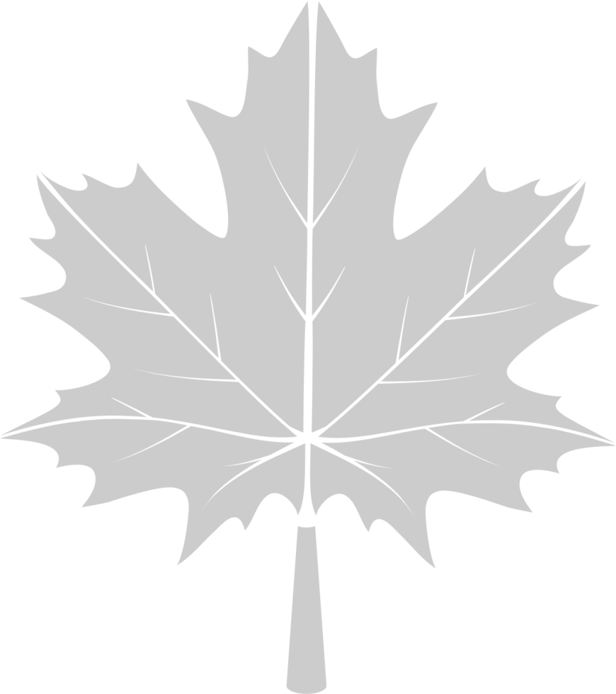 Maple Leaf vector