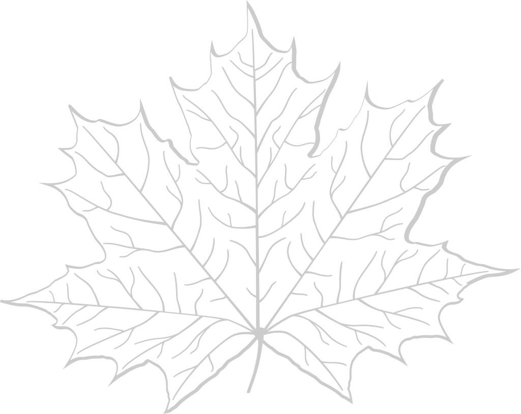 Maple Leaf vector