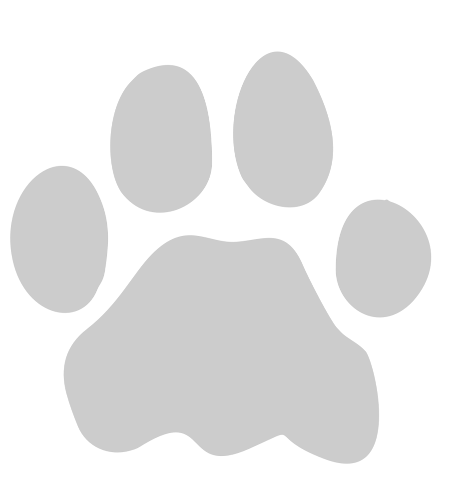 Paw vector