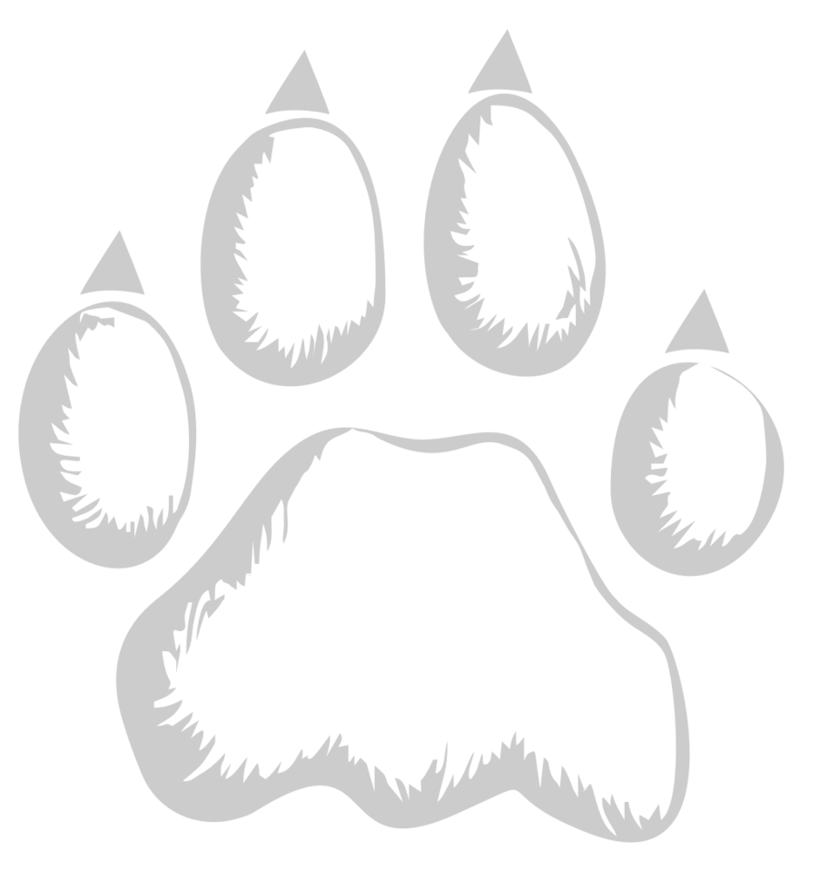 Paw vector