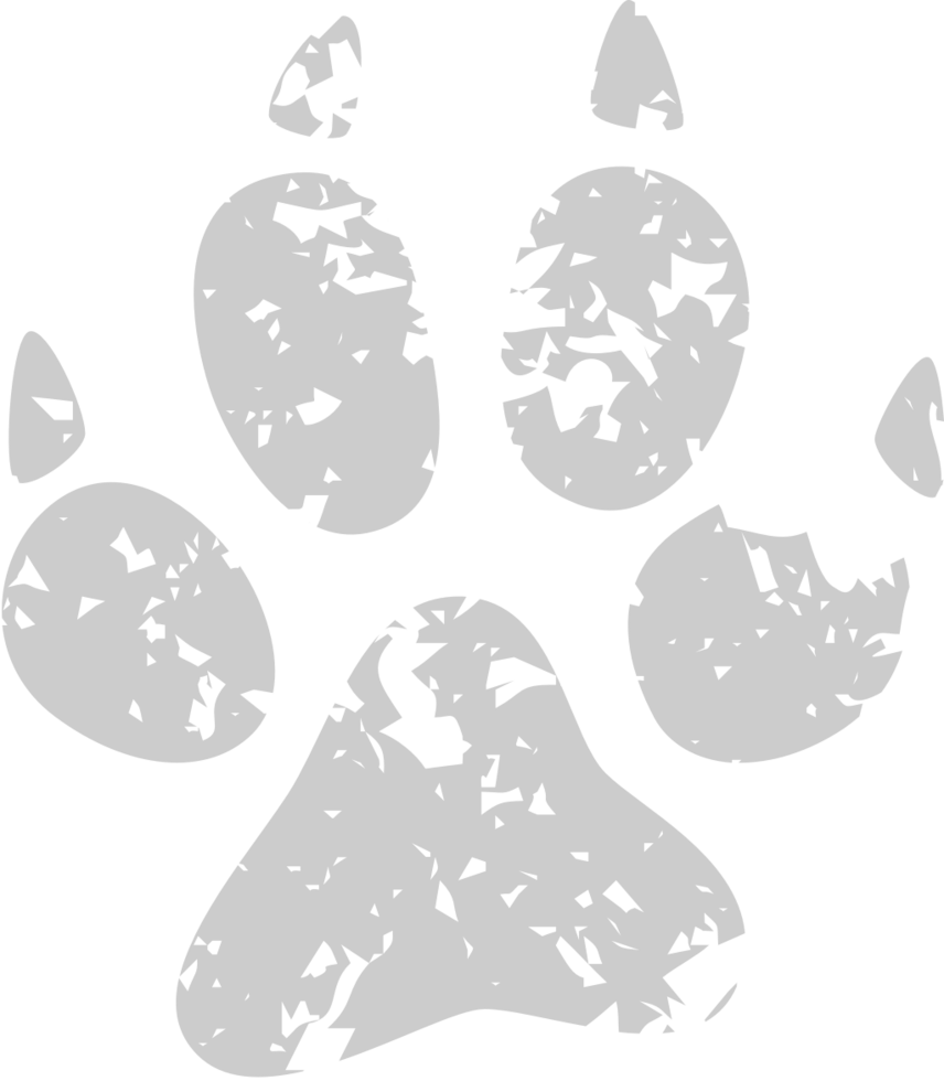 Paw vector
