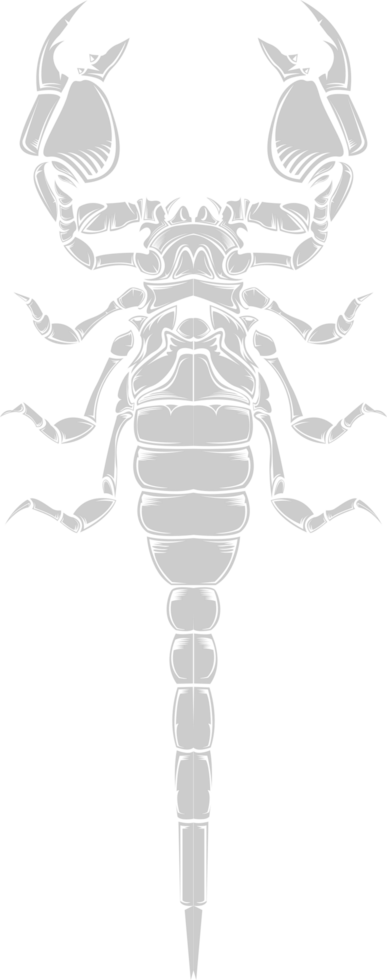 Scorpion vector
