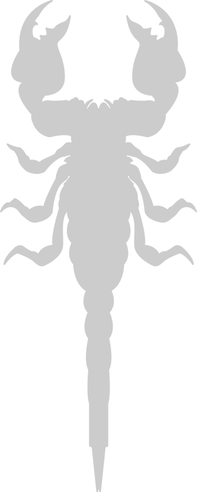Scorpion vector
