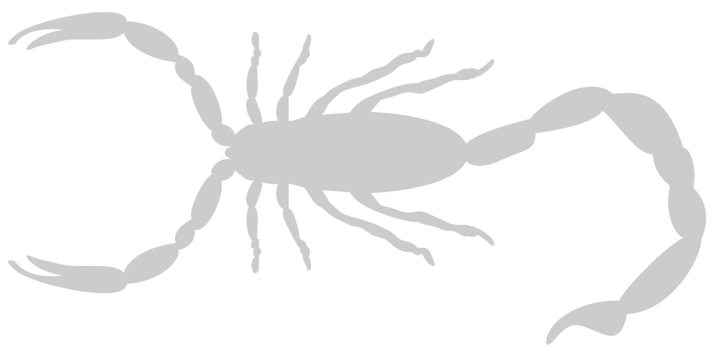 Scorpion vector