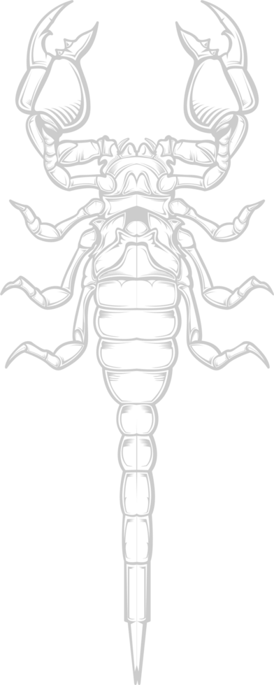 Scorpion vector