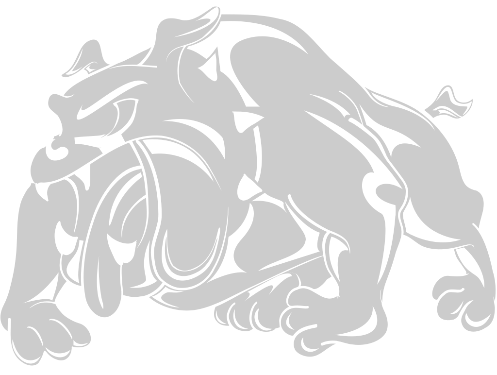 Bulldog vector