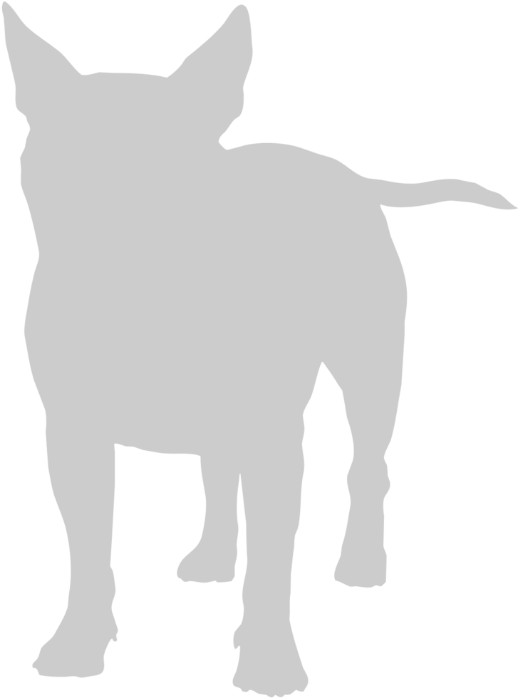 Bulldog vector