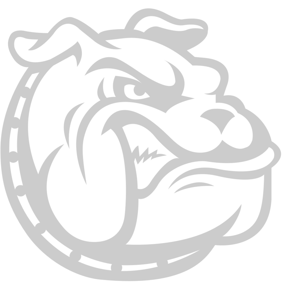 Bulldog vector