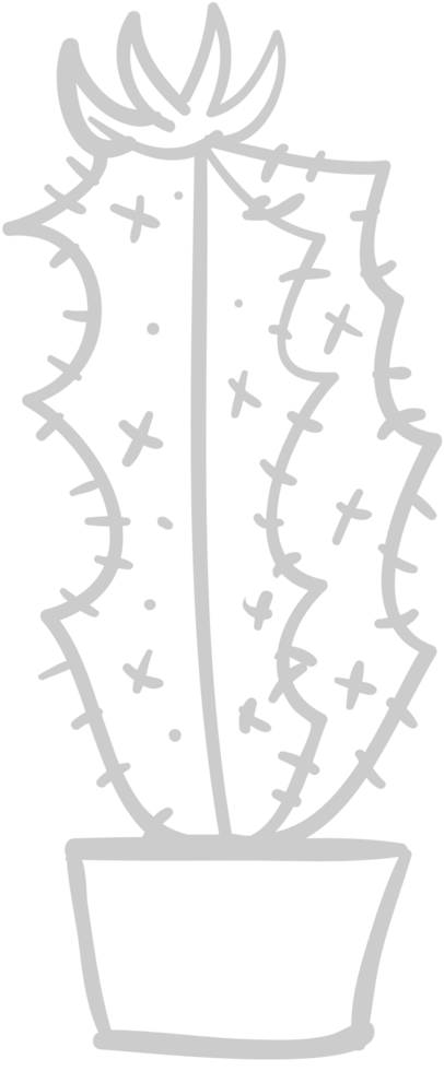 Cactus vector