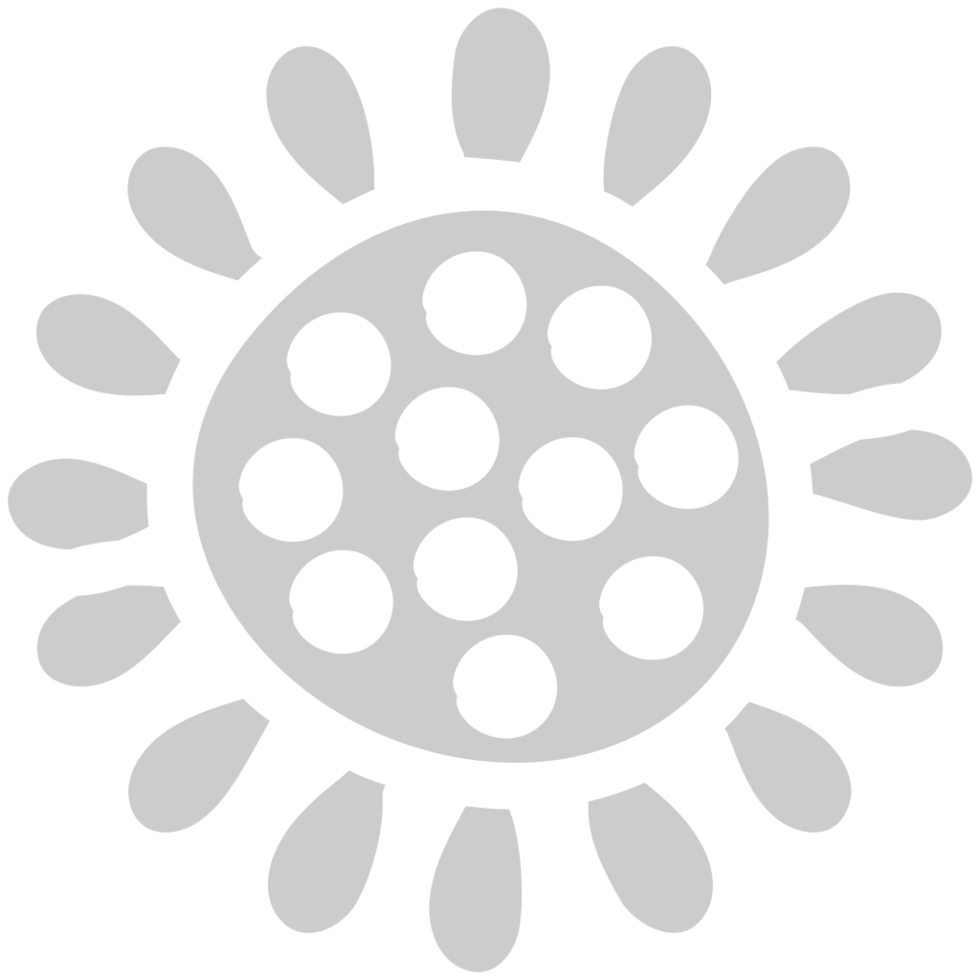 Sunflower  vector