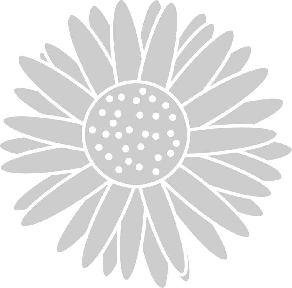 Sunflower  vector