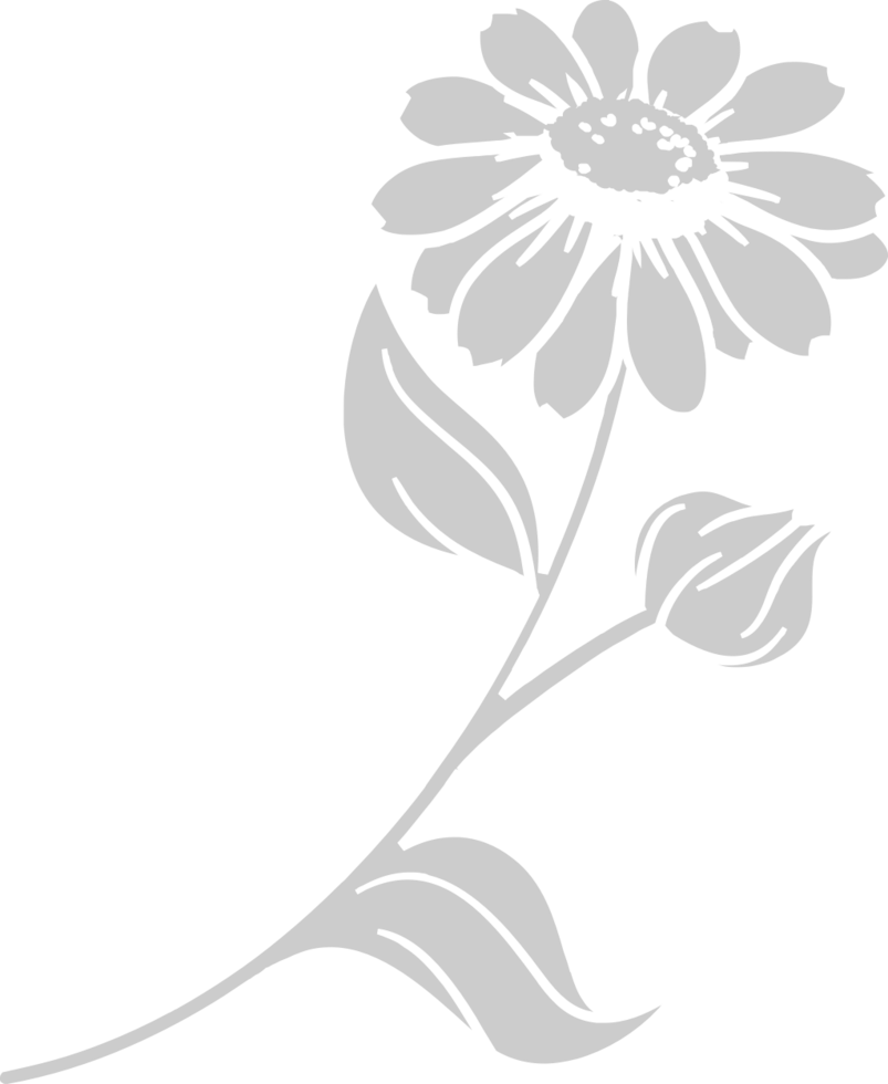 Sunflower  vector