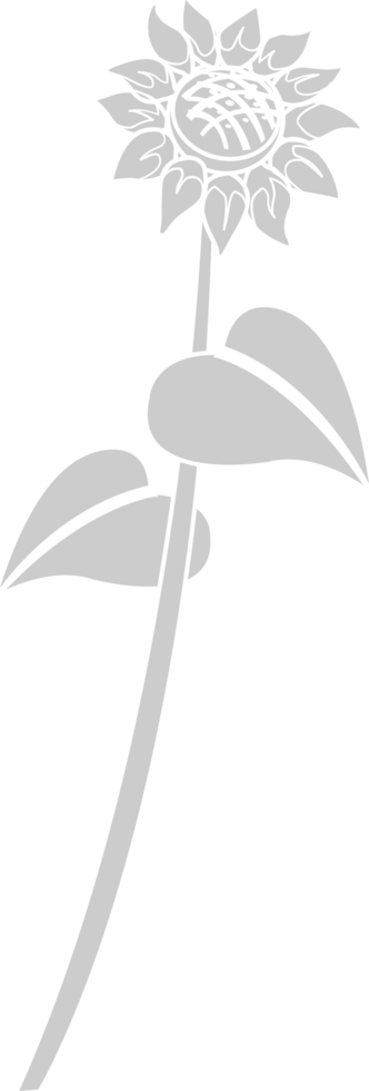 Sunflower  vector
