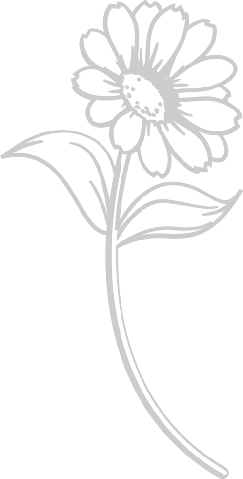 Sunflower vector