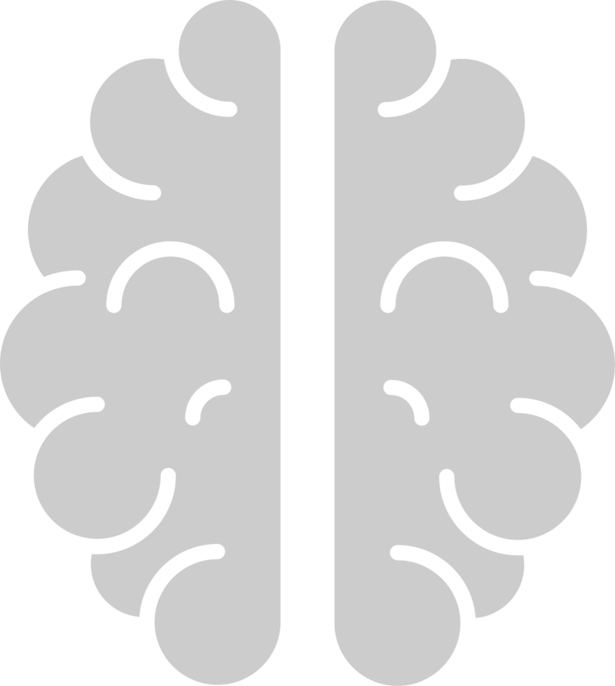 Brain vector