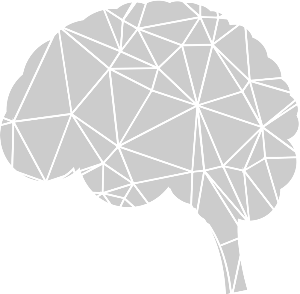 Brain  vector