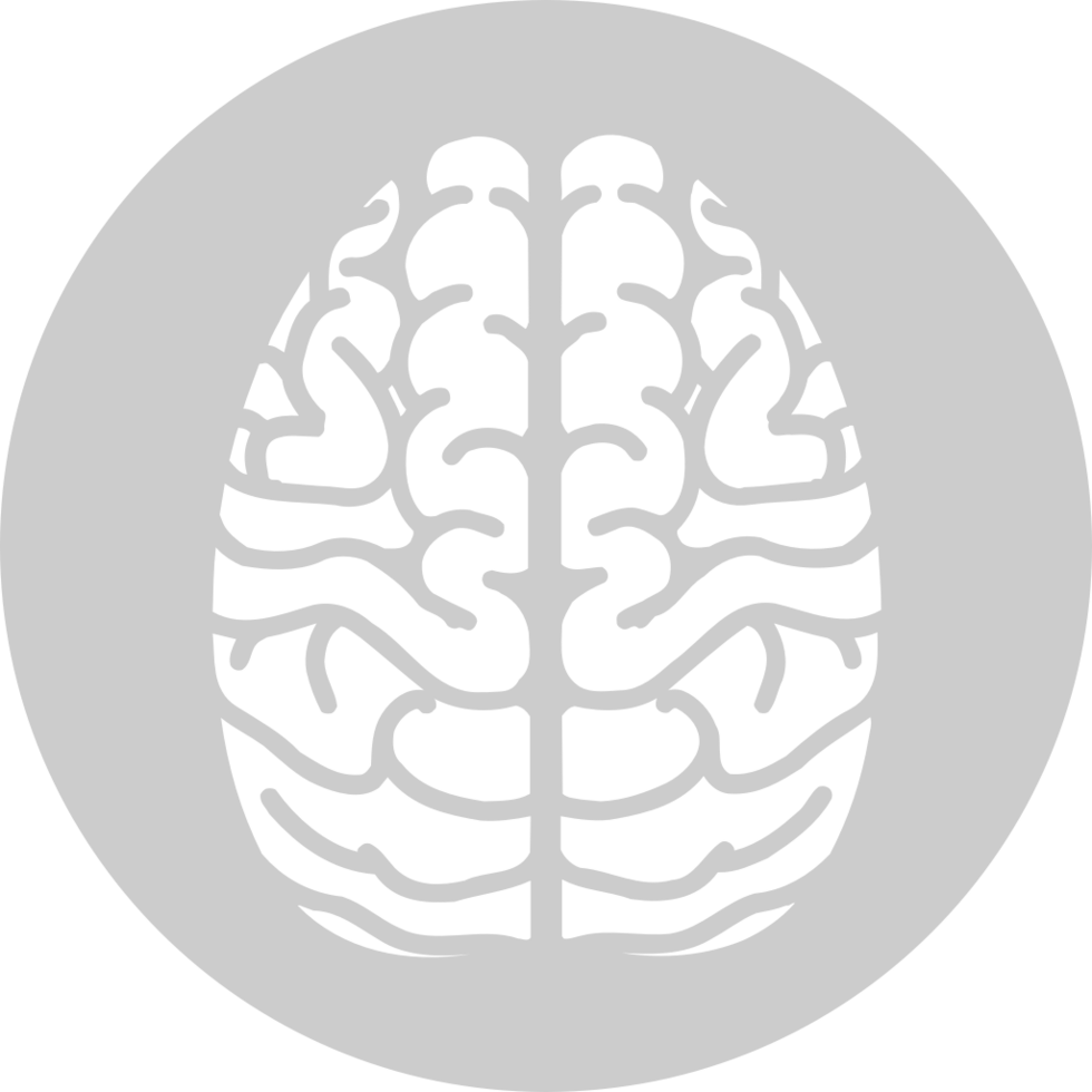 Brain vector